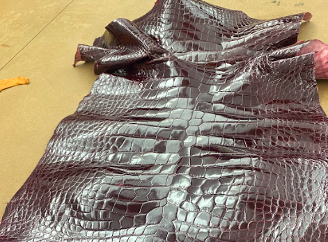 aligator leather hide